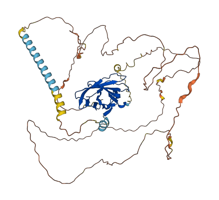 RUNX2 3D structure