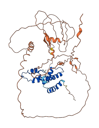 NFYC 3D structure