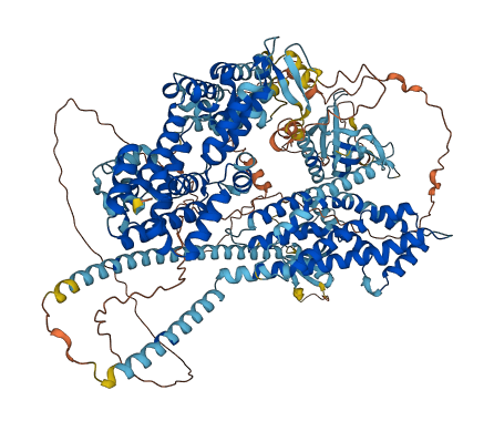 RASGRF1 3D structure