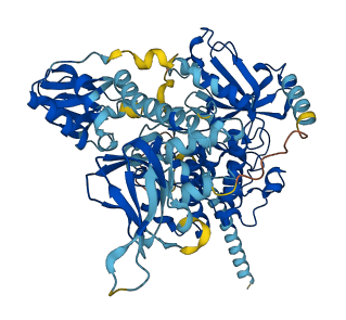 PRKG1 3D structure