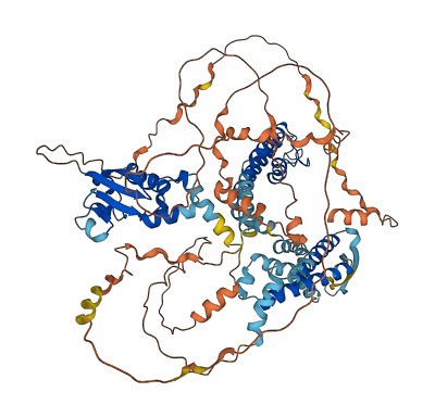 KCNC3 3D structure