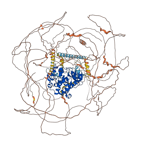CDK13 3D structure