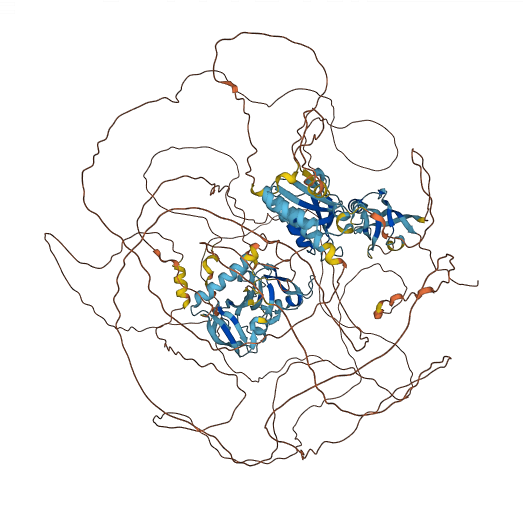 IL16 3D structure