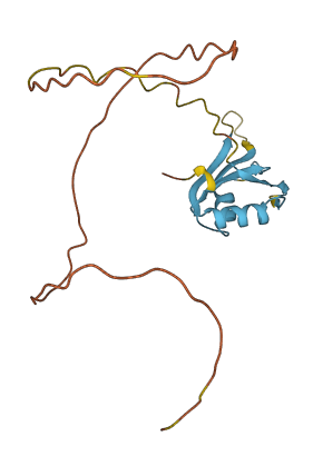 CIRBP 3D structure