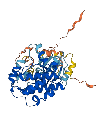 CAMK1 3D structure
