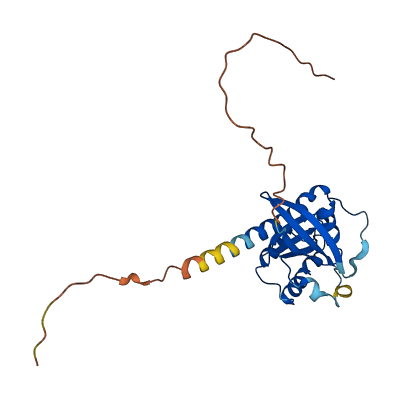 RAB33A 3D structure