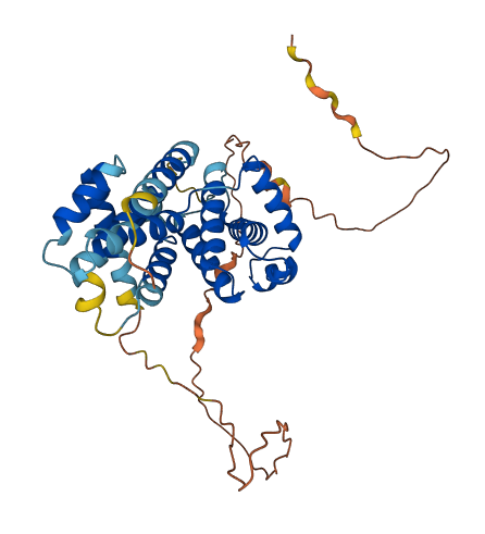 CCNI 3D structure