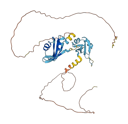 HNRNPD 3D structure