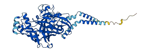 SCARB2 3D structure