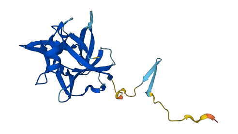 IL18 3D structure