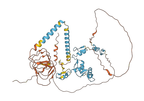 VEZF1 3D structure