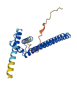 DGCR6 3D structure