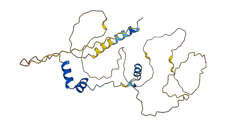 VGLL4 3D structure