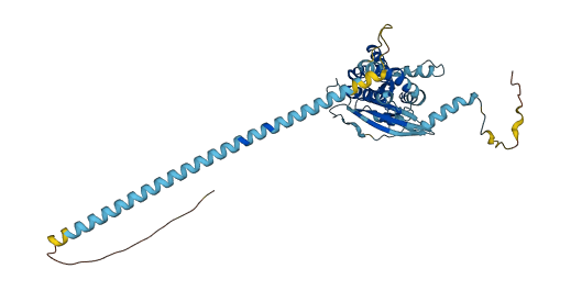 SEPTIN6 3D structure