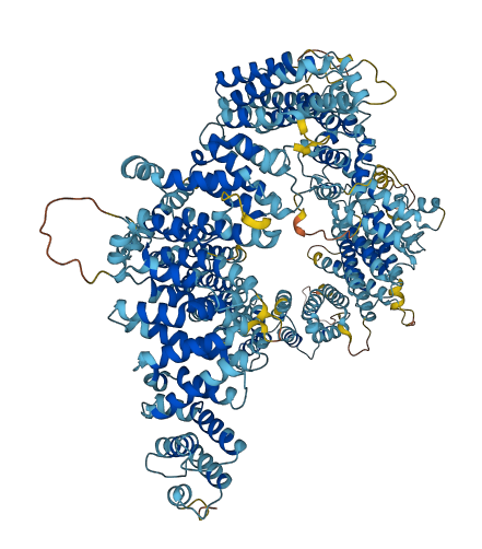 URB2 3D structure