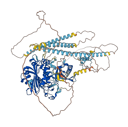 MORC3 3D structure