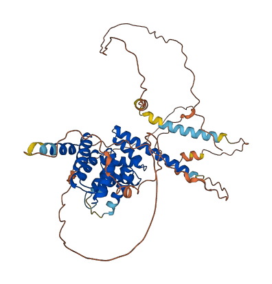 DELE1 3D structure