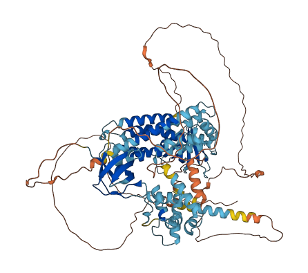 ARHGEF7 3D structure