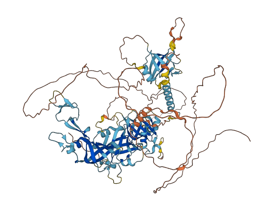 SPIDR 3D structure