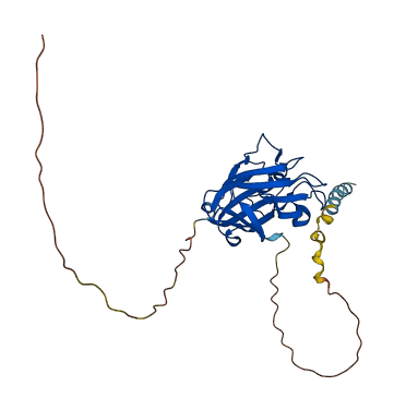 MLEC 3D structure