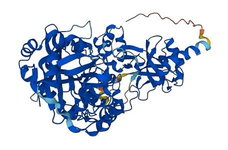 TTLL12 3D structure