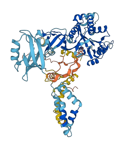 MPP2 3D structure
