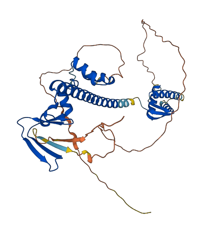 TFDP1 3D structure
