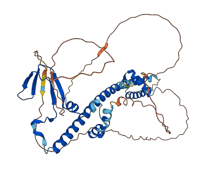 TFDP2 3D structure