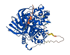 CRMP1 3D structure
