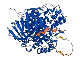 DPYSL3 3D structure