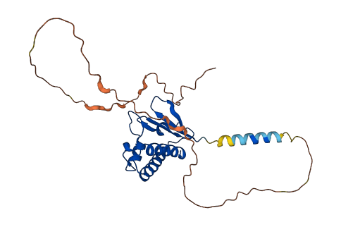 BTG3 3D structure