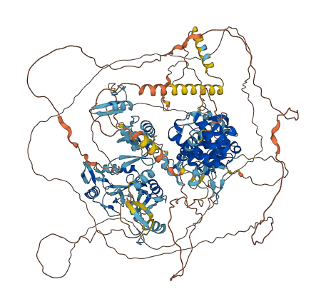 ZMYM3 3D structure