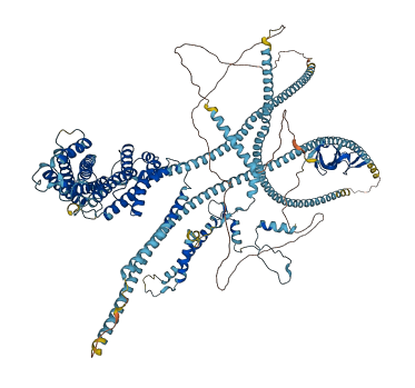 DCTN1 3D structure