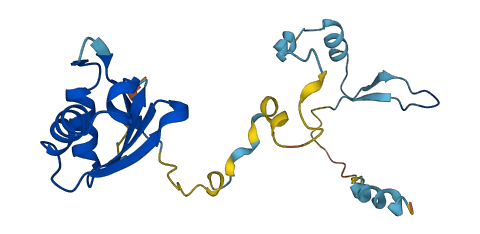 RCAN2 3D structure