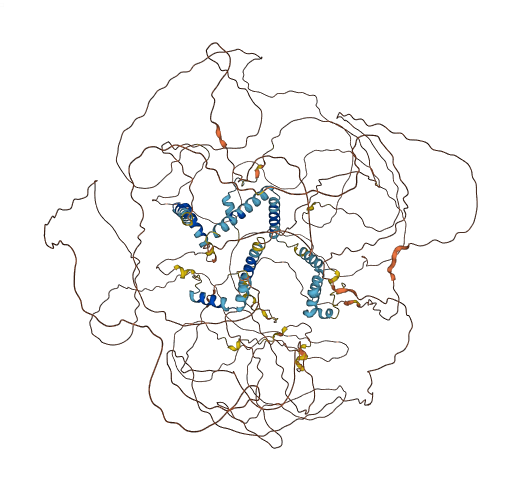 NPAT 3D structure