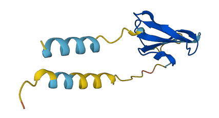 LY6D 3D structure