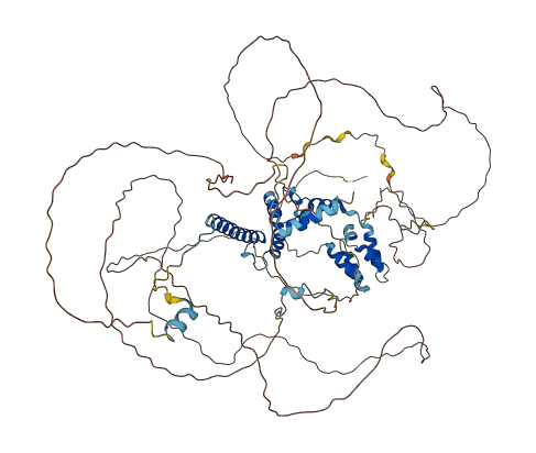 ELOA 3D structure