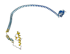FLOT2 3D structure