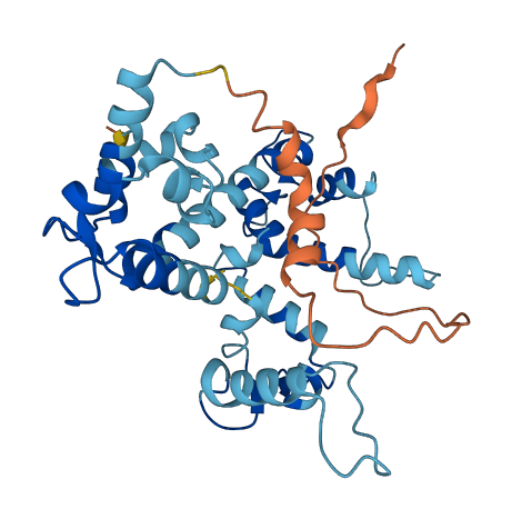 RCN2 3D structure