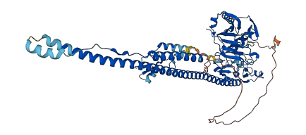TRIM25 3D structure