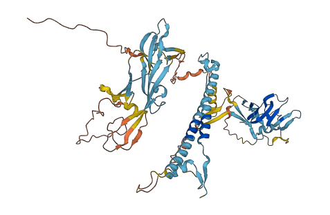 ERV3-1 3D structure