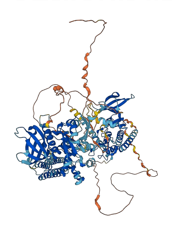 PTK2B 3D structure