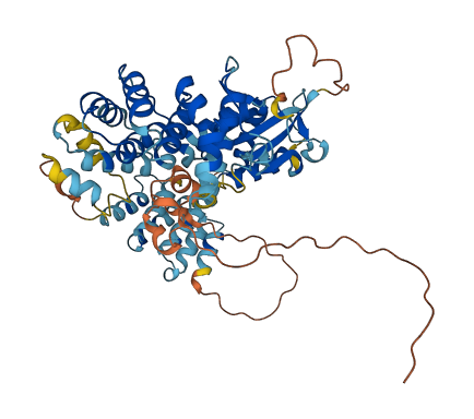 FASTK 3D structure