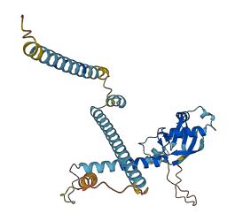 FAM50A 3D structure