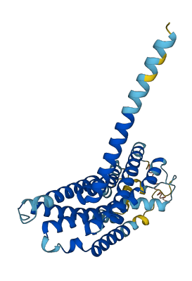 GPR18 3D structure