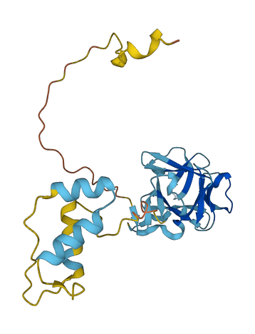 FRG1 3D structure