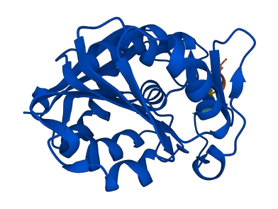 GAMT 3D structure