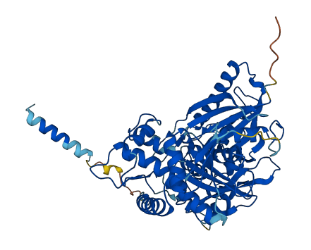 GK3P 3D structure