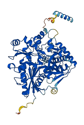 GK2 3D structure