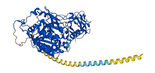 GALNT3 3D structure